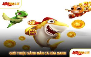 Giới Thiệu Sảnh Bắn Cá Rùa Xanh